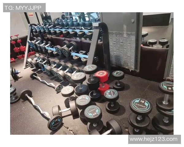 12磅哑铃换算成公斤是多少斤适合健身新手使用的重量选择指南